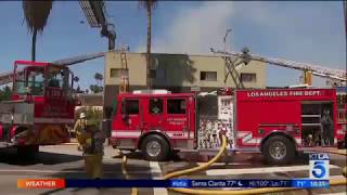 Celebrity Vacant Building Goes Up in Flames Net Worth