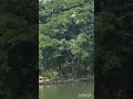 Ranganathittu Bird Sanctuary