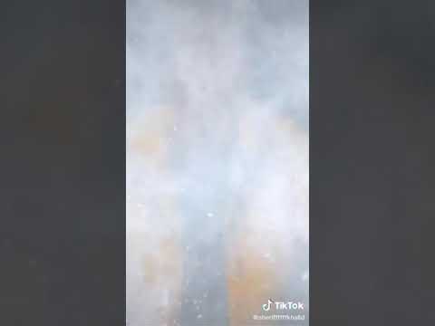 بومبلي ساقط في نوتيلا