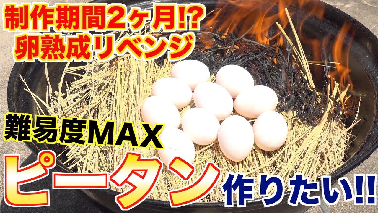 I want to make 2-month-aged Pi Tang! - YouTube