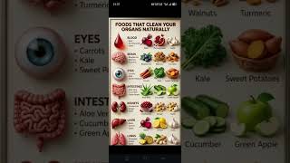 Best Foods That Clean Your Organs Naturally | Liver, Kidneys, Brain &amp; Blood Detox  #healthtips