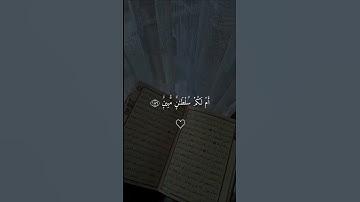 #سورة_الصافات #القارئ_ماهر_المعيقلي #قران_كريم #اكسبلور #دويتو #لايك