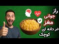 کندرمعجزه‌ست یا سم پنهان؟ قبل از مصرف ببین ! | کندر