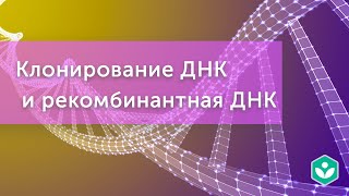 Клонирование ДНК и рекомбинантная ДНК (видео 4) | Генная инженерия | Молекулярная генетика