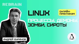 Linux by Rebrain: Процессы, демоны, зомби, сироты