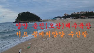 송전해수욕장 영상