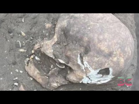 Treasure trove of ancient artifacts and skeletons found in Brazil