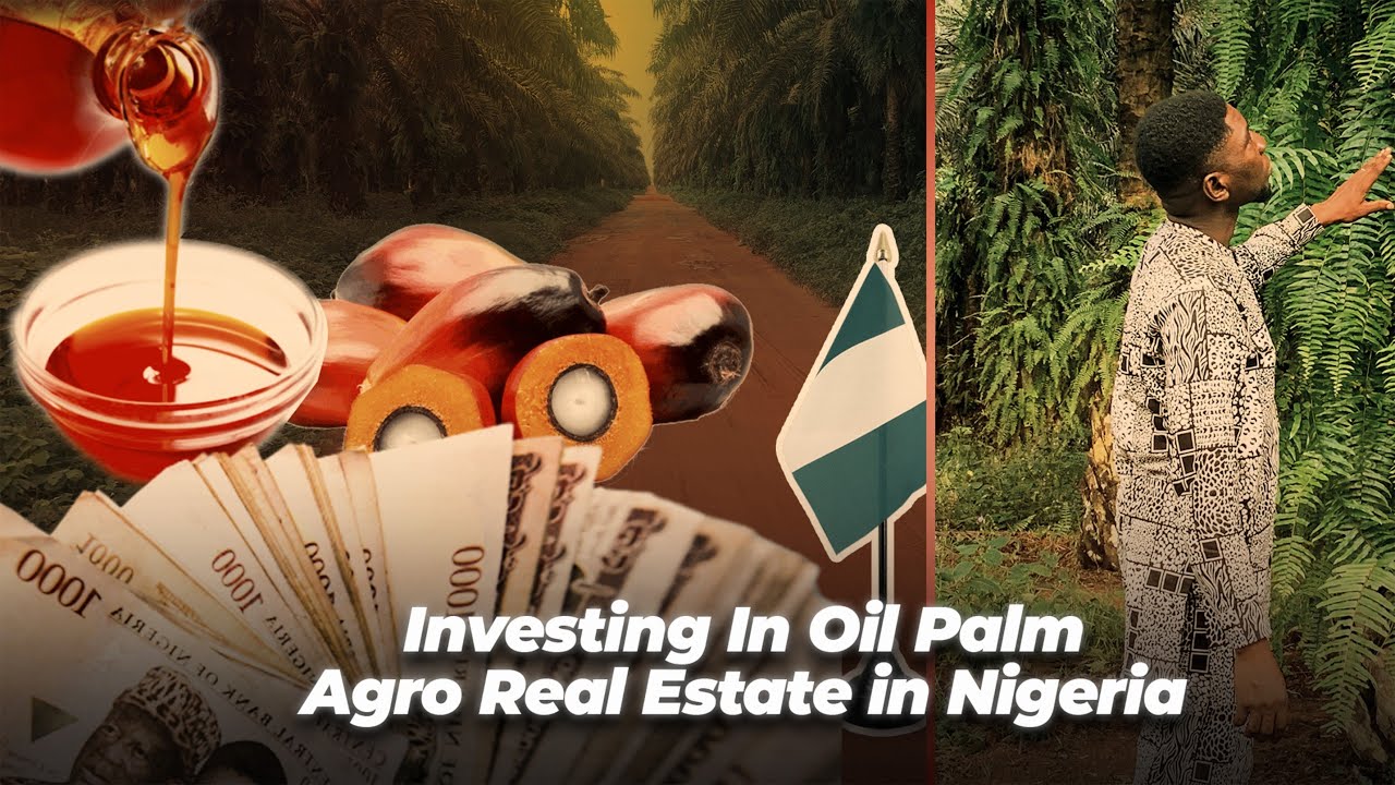 How Silvawell Limited Makes Oil Palm Farming and Real Estate Investment Stress Free and Profitable