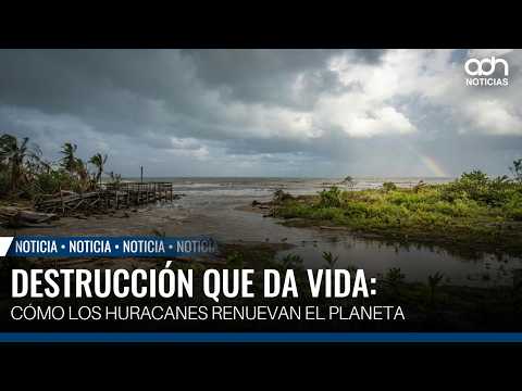 From Havoc to Revival: The Hidden Benefit of Hurricanes
