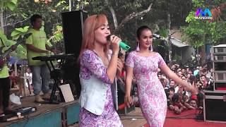 BOJO GALAK MAYA & EDOT SAVALA LIVE SUWAWAL GASTEAM