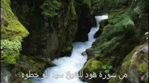 تلاوه من سورة هود -الشيخ سيد ابو خطوه.flv