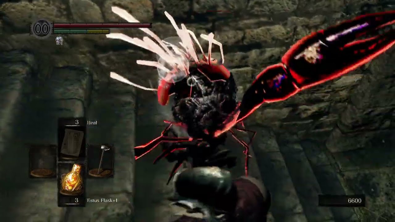 DARK SOULS: RE Evil Vagrant Encounter Twin Humanities