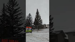 Snow in Calgary #snow #calgary #alberta #canada #calgaryalberta #albertacanada #canadadiaries