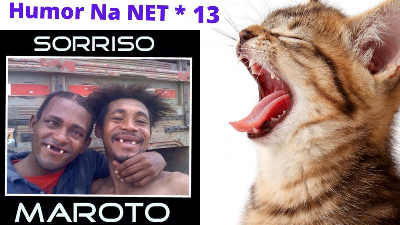 Video De Humor Gratis