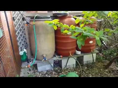 Vidéo: Collection d'eau de pluie - Récolter l'eau de pluie avec des barils de pluie