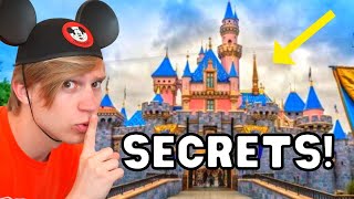 5 SECRETS you didn't know about Sleeping Beauty's Castle!