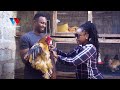 KUKU WA MAAJABU UZITO WAKE NI MFUKO NUSU WA CEMENT BEI YAKE NI BALAA KUKU WA MAAJABU UZITO WAKE NI MFUKO NUSU WA CEMENT BEI YAKE NI BALAA