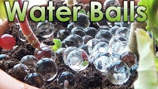 What Is Water Balls? Sodium Polyacrylate And Chemistry