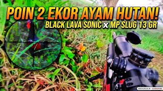 Jungle Fowl Hunting ‼️ Immediate catch | Just 2 birds || MPSL4G 13gr
