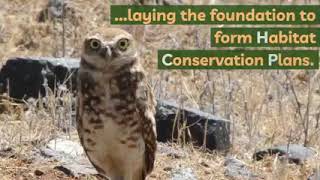 Habitat Conservation Plans