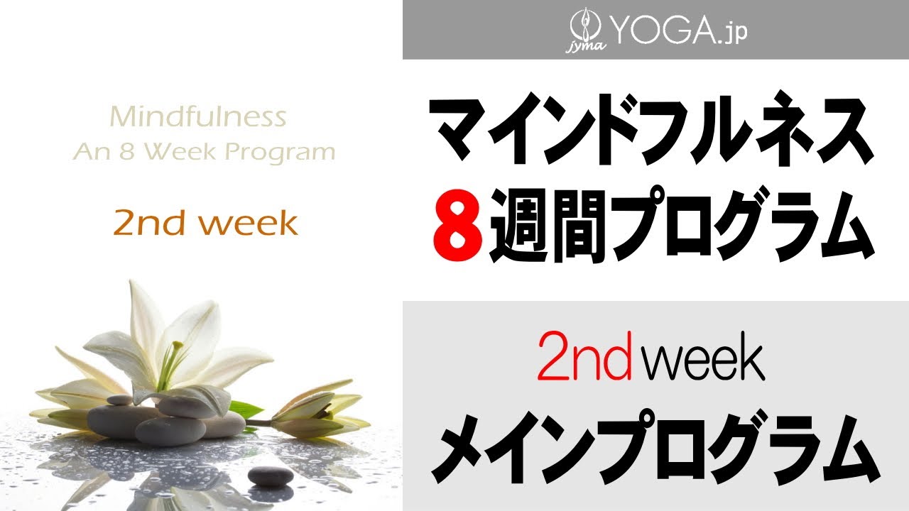 Mindfulness 8-week program [Week 2] 25 minutes Main program - YouTube