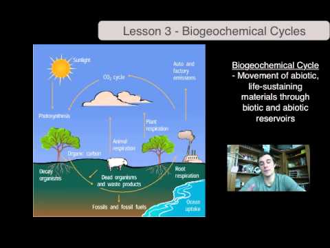 Ecology Lesson 3 - Biogeochemical Cycles - YouTube