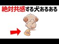 【何個当てはまる？】犬を飼ってたら絶対頷く犬あるあるが可愛すぎる