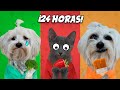 MIS MASCOTAS VIVEN 24 HORAS DE UN SOLO COLOR !!