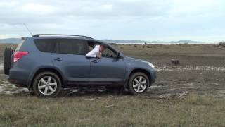 Toyota Rav4 Awd Stuck In The Mud New Zealand