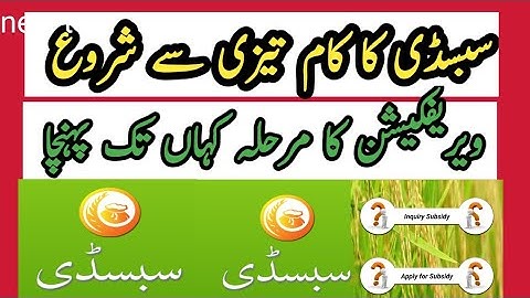 Subsidy New Update Verification Update / Subsidy verification has started / . .سبسیڈی ویریفکیش س