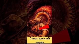 💀смертельный червь#shorts