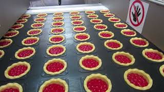 GEA PIE LINE