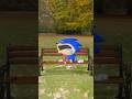 Hungry Hungry Shin Sonic