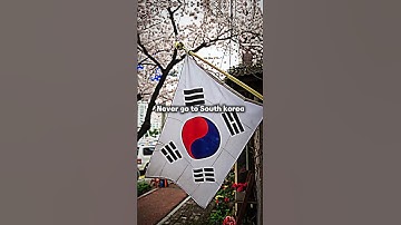 Never go to South Korea😔 | #short #viral #fyp #aesthetic #southkorea