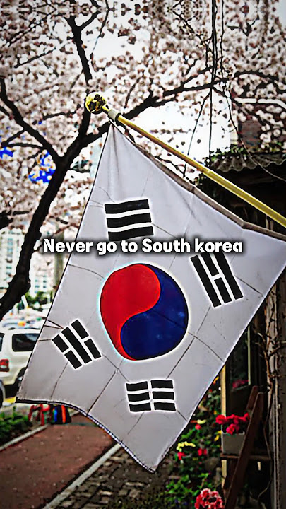 Never go to South Korea😔 | #short #viral #fyp #aesthetic #southkorea