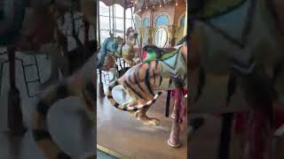 My son 💙 Ivin Jr Had A Blast at On The Jungle Carousel 🎠 At #arlingtontexas