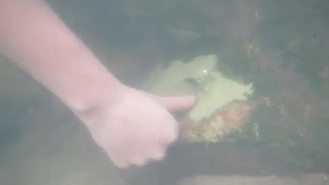 Temperature Logger Installation