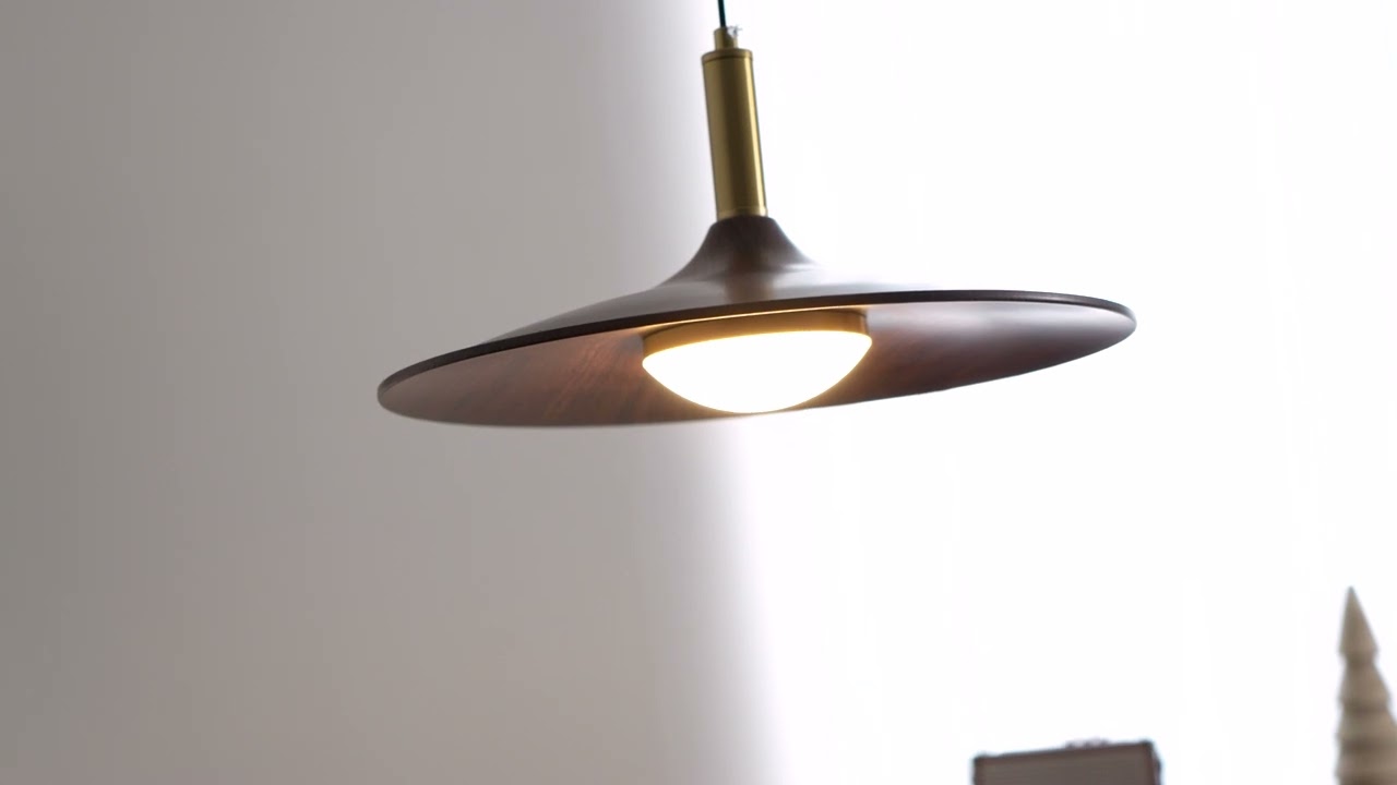 Nano Swing Arm Pendant Light