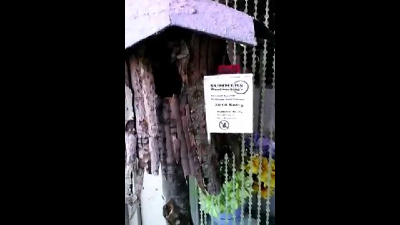 Birdhouse contest entry