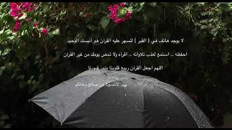 ويدعو الإنسان بالشر دعاءه بالخير وكان الإنسان عجولا قوله…. سورة _ الإسراء