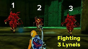 Fighting 3 Lynels AT ONCE!  Floating Coliseum - Totk Gameplay