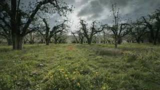 LG LIVE BORDERLESS, LG Seamless TV (tv spot advertising)