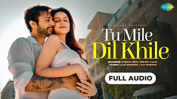 Tu Mile Dil Khile | Full Audio Song | Stebin Ben | Asees Kaur | Larissa B | Lijo G-Dj Chetas