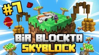 1 Blokta Skyblock Sınırsız Kaynaklı Skyblock