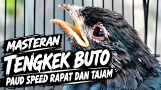 MASTERAN 2026 TENGKEK BUTO SUPER MEWAH TERBAIK | MASTERAN TENGKEK UNTUK SEMUA BURUNG LOMBA 