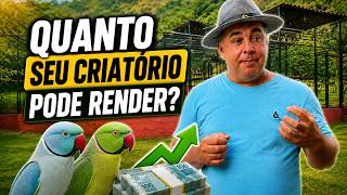 COMO PREVER A LUCRATIVIDADE DO MEU CRIATÓRIO DE AVES EXÓTICAS
