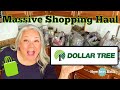 Massive DOLLAR TREE Shopping Haul | Stocking Up on Necessities
