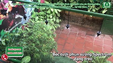 Béc tưới phun sương xòe 360 độ Spectrum - Xuất xứ: Antelco - Australia