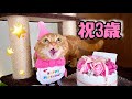 【祝】ひな子3歳お誕生日