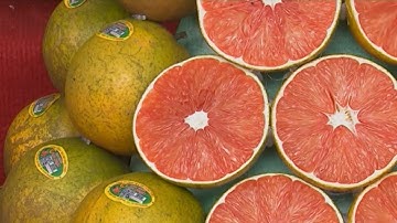 Trái cây mới góp mặt tại Ngày hội trái cây Lục Ngạn